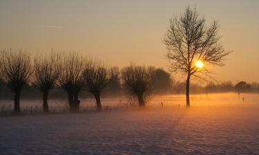 Hotels met Parkeren in Gemert