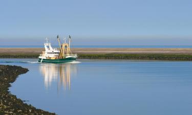 Beach rentals in Sint Philipsland