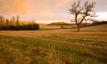 Готелі з парковкою у місті Wiveliscombe