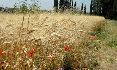 Budgethoteller i Casal Monastero