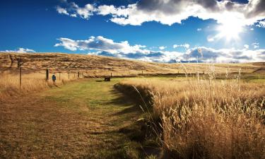 Hotels with Parking in Temuka