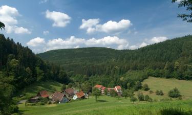 Готелі з парковкою у місті Wilhelmsfeld