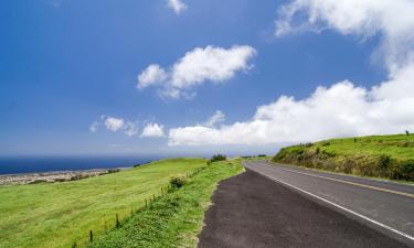 Hotels with Parking in Hawi