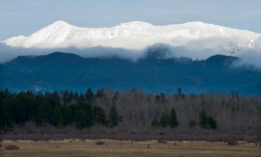 Family Hotels in Harrison Mills