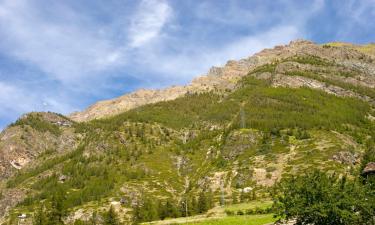 Allotjaments d'esquí a Sarre