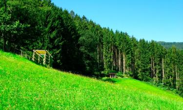 Hotelek Biederbach Baden-Württembergben