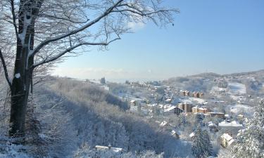 Hoteli u gradu 'Rudnik'