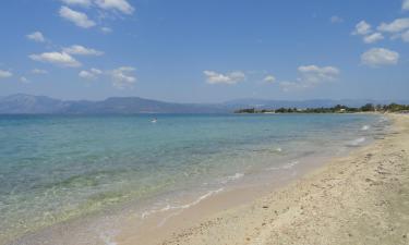 Vacation Rentals in Drosia