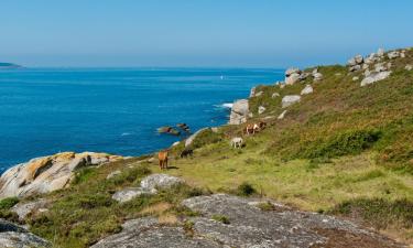 Allotjaments vacacionals a Castrelo