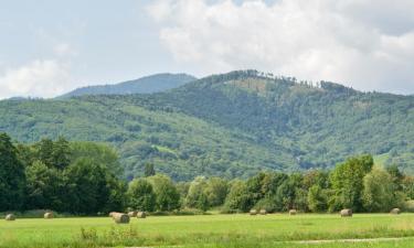 Hôtels pas chers à Saint-Jean-Saverne