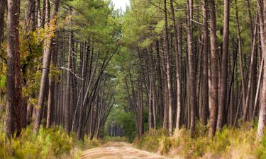 Hoteles con parking en Saubusse