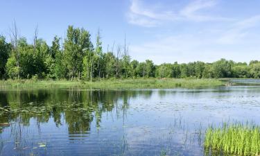 Holiday Homes in Delta