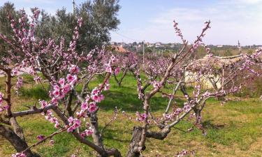 Vakantiewoningen in Torrevecchia Teatina