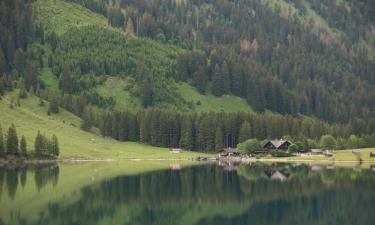 Guest Houses in Persenbeug