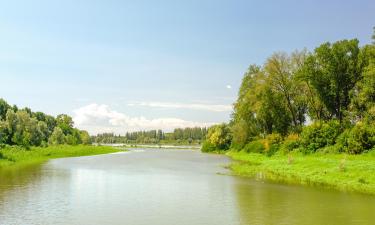 Отели в городе Viadana