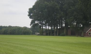 Cottages in Zuidwolde