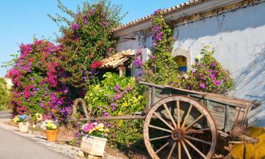 Hoteles familiares en Maceira