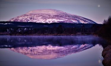 Hoteles en Tynset