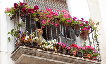 Hoteles baratos en Doña Mencía