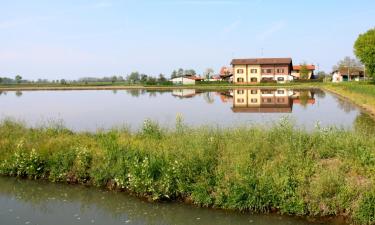 Hoteles en Gropello Cairoli