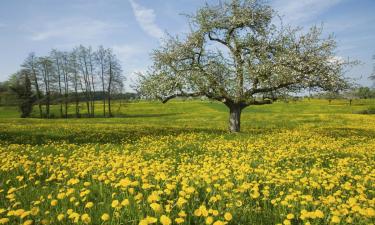 Hotels amb aparcament a Berg