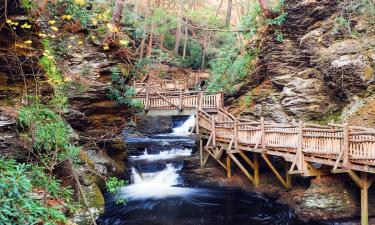 Hoteles que admiten mascotas en Bushkill