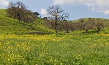 Hotels with Parking in Gilroy