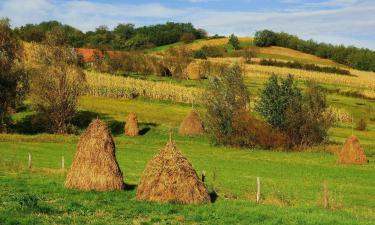 Hotellid sihtkohas Durău