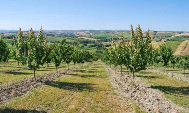 Hotel con parcheggio a Montecarotto