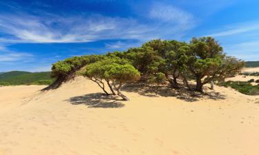 Locations de vacances à Piscinas