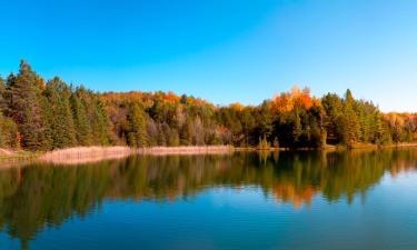 Hoteles en Sylvan Lake