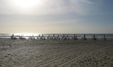 Hoteles que aceptan mascotas en Necochea