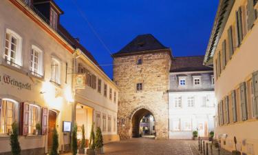 Apartments in Freinsheim