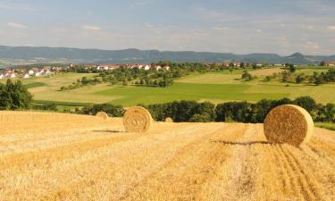 Hotels in Zwiesel