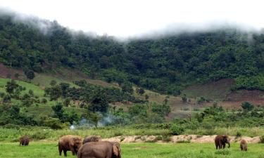 Family Hotels in San Pa Tong