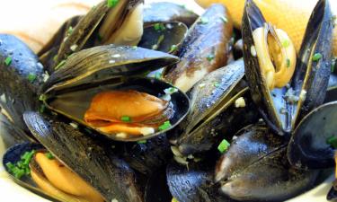 Boliger ved stranden i Leulinghen-Bernes