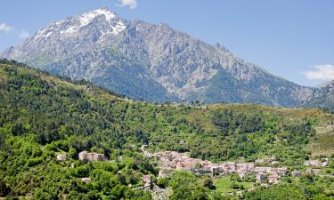 Hotel con parcheggio a Vivario