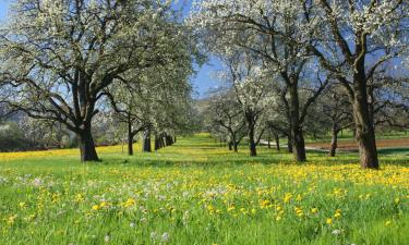 Alquileres vacacionales en Heimhausen