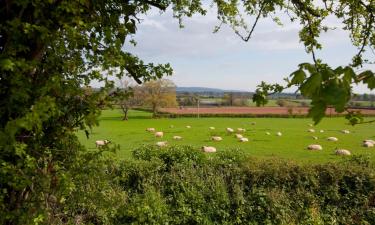 Cottages in Malborough