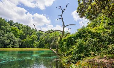 Hotéis com Piscina em Dunnellon