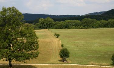 Hoteles con parking en Sentheim