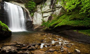 Готелі з парковкою у місті Pisgah Forest