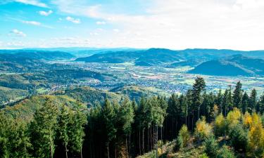 Ferienwohnungen in Schonach