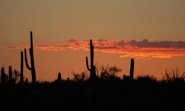 Hotel pet friendly a Sonora