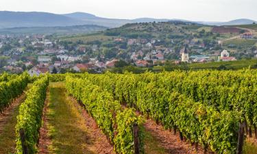 Maisons d'Hôtes à Mád