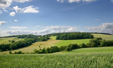 Hotels with Parking in Heitersheim