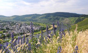 Ferieboliger i Pünderich