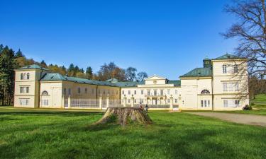 Hoteles baratos en Lázně Kynžvart