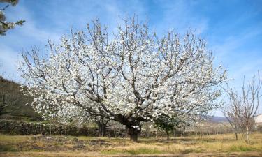 Holiday Rentals in El Torno