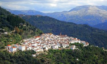 Cabañas y casas de campo en Algatocín